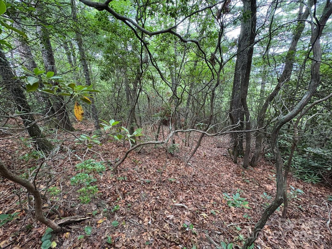 Lot 34 N Oakwood Drive Property Photo 8