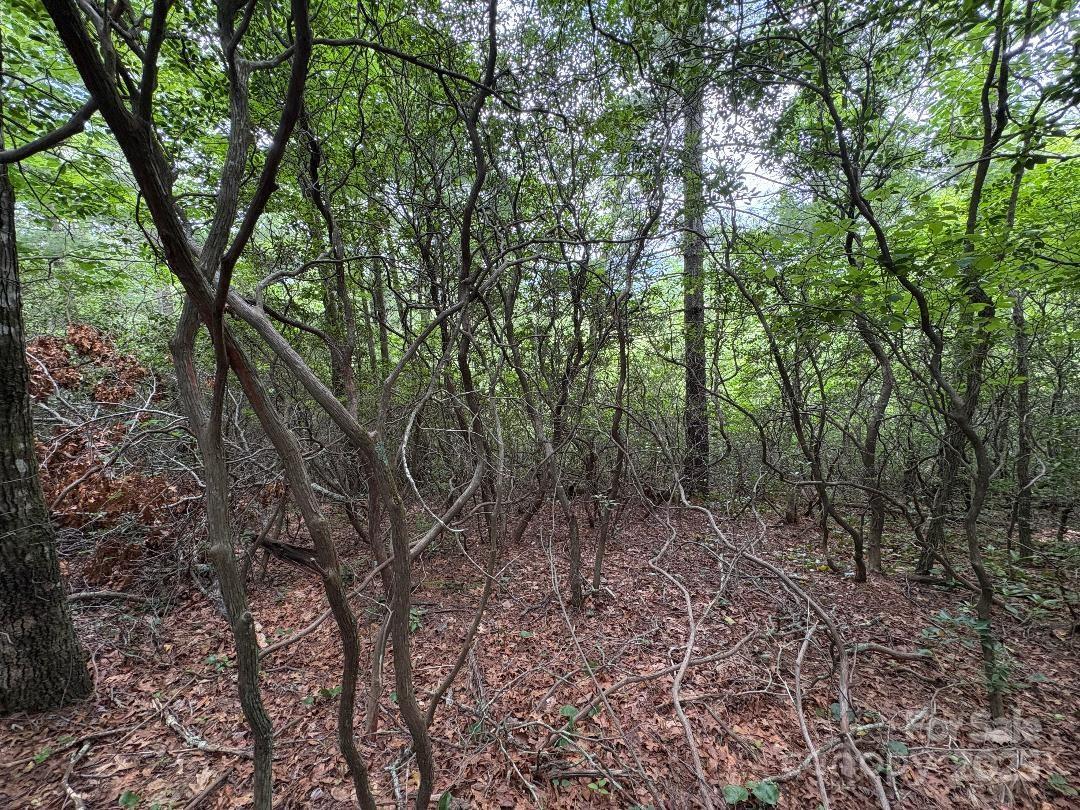 Lot 34 N Oakwood Drive Property Photo 9