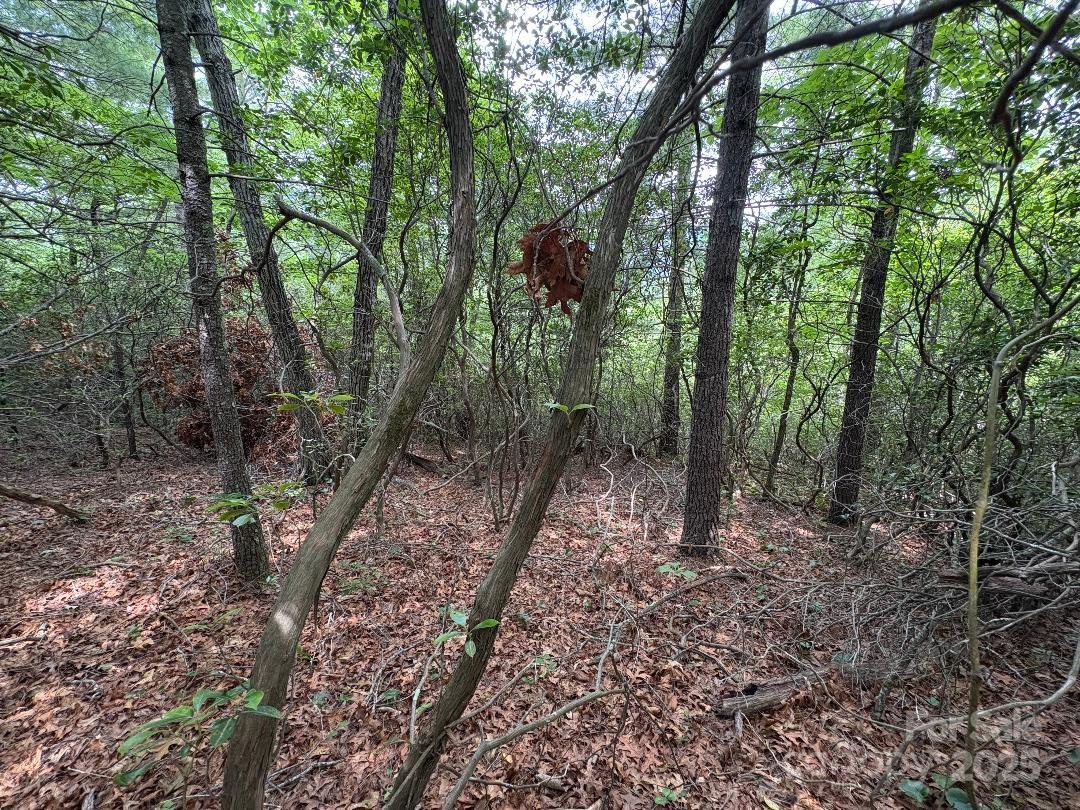 Lot 34 N Oakwood Drive Property Photo 10
