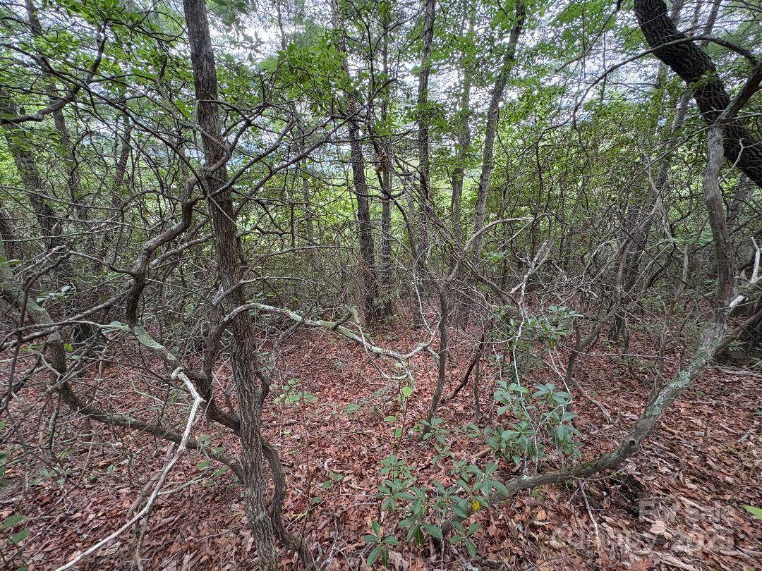 Lot 34 N Oakwood Drive Property Photo 11