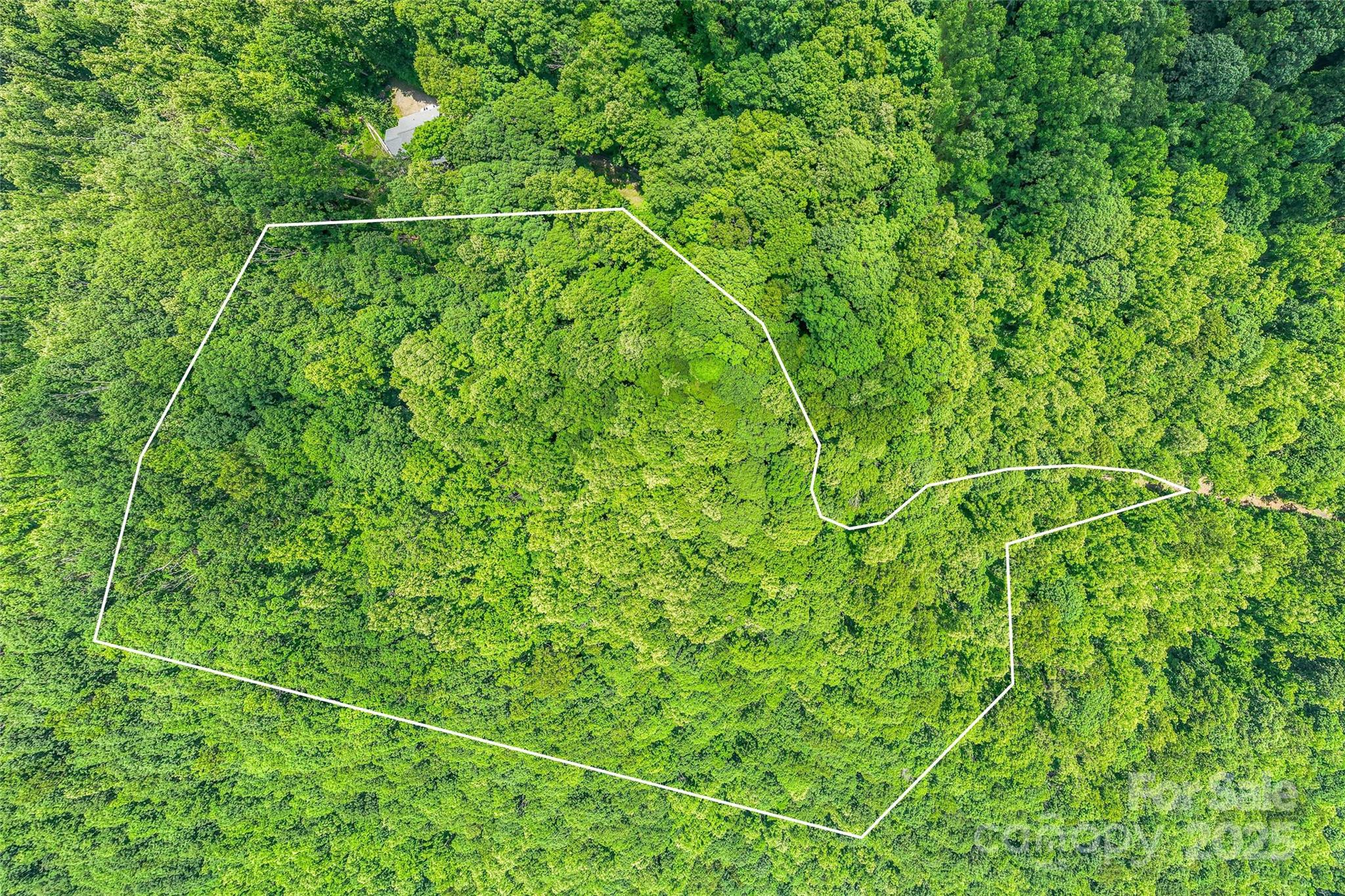 99999 Countryside Estate Property Photo 3