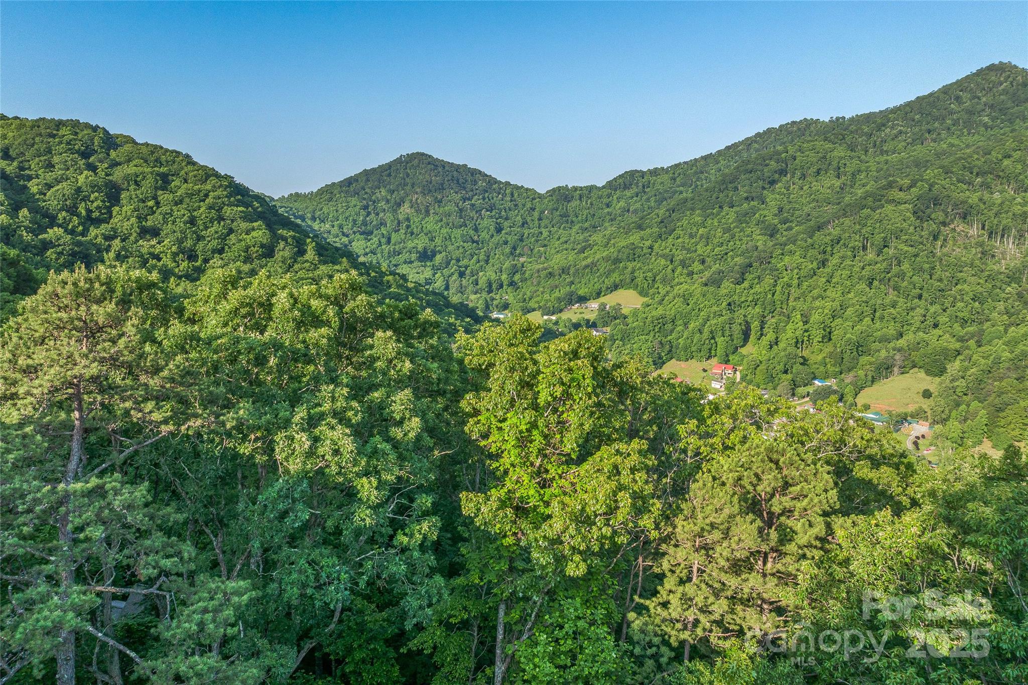 99999 Countryside Estate Property Photo 5