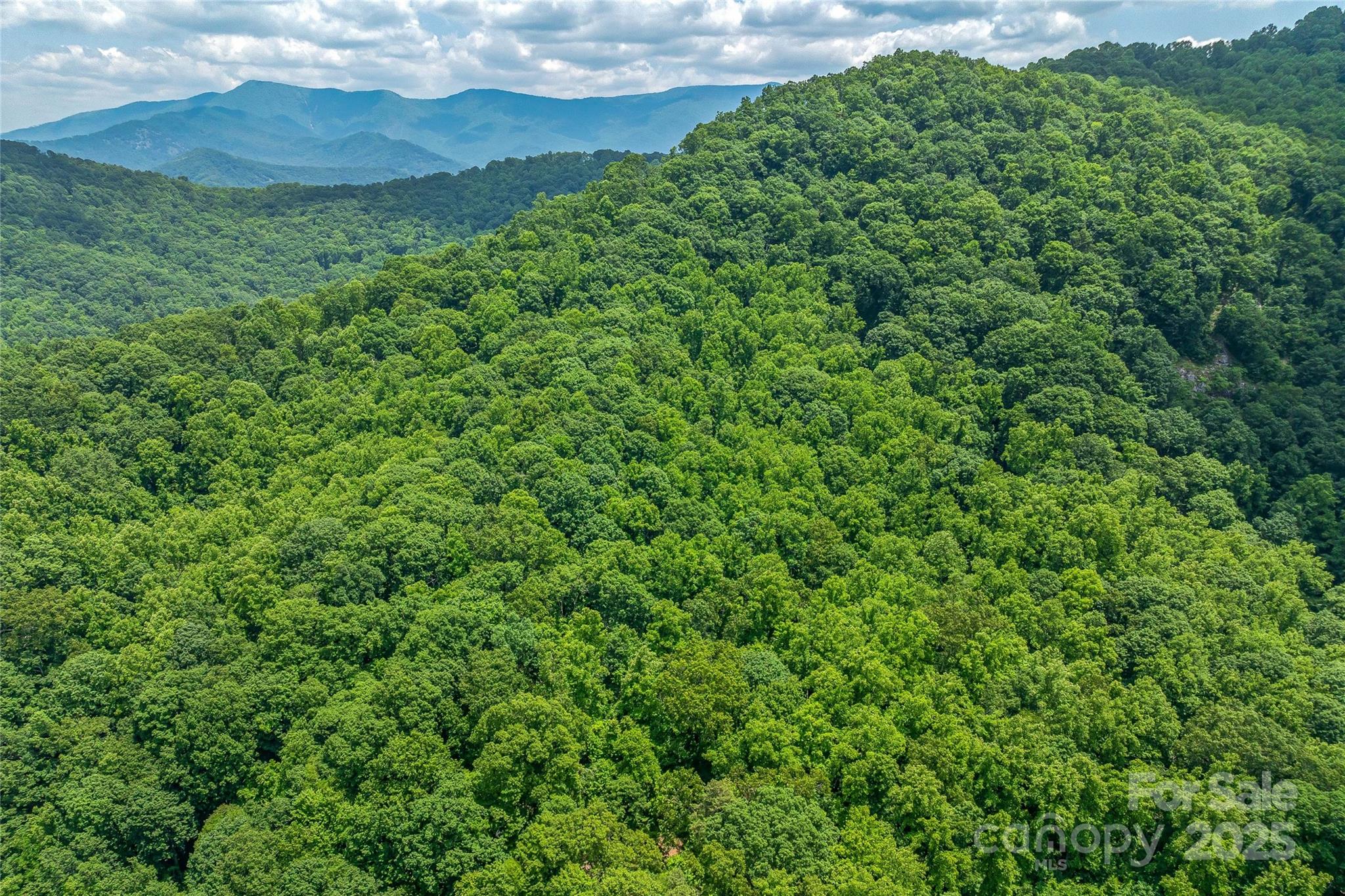 99999 Countryside Estate Property Photo 8