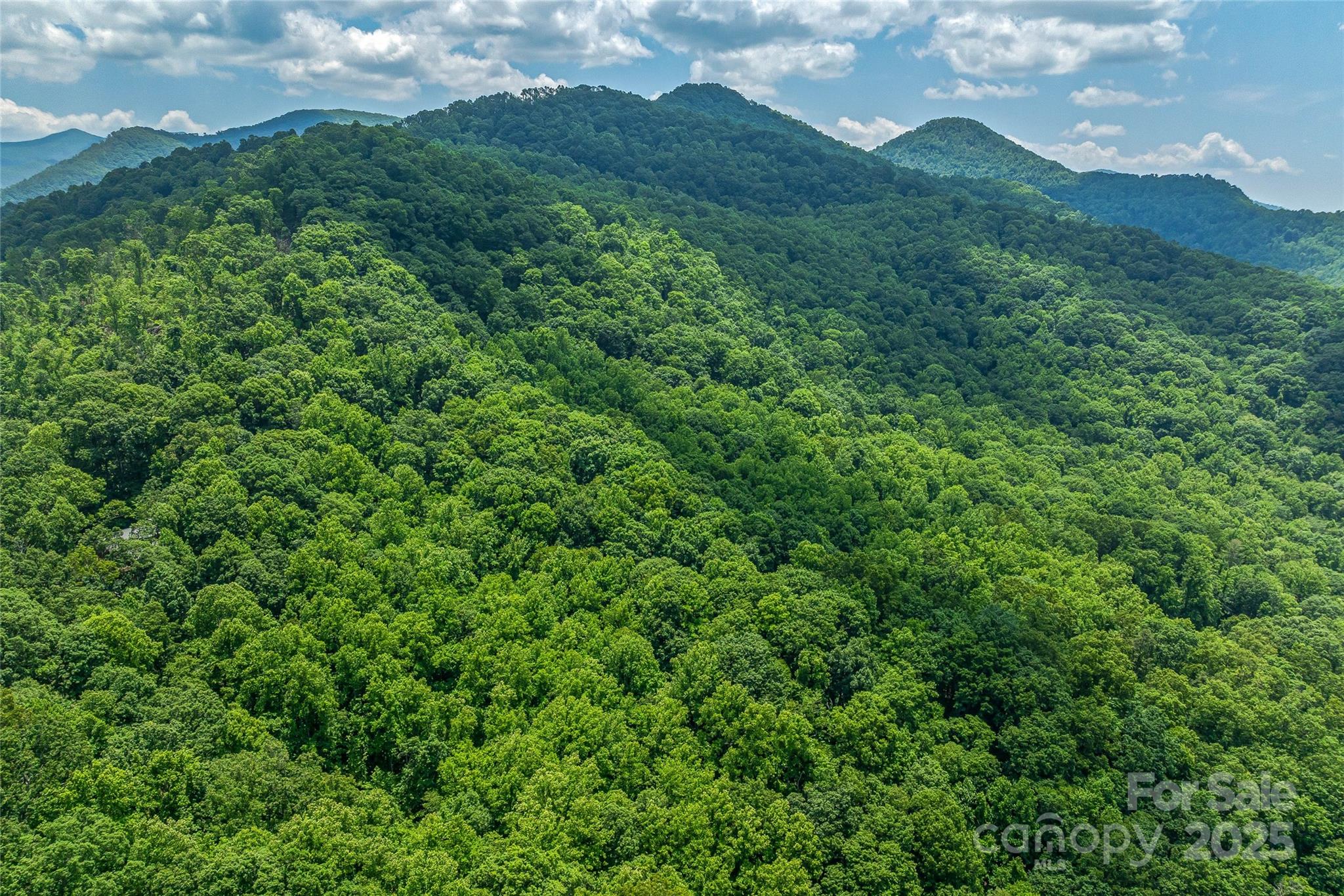 99999 Countryside Estate Property Photo 9