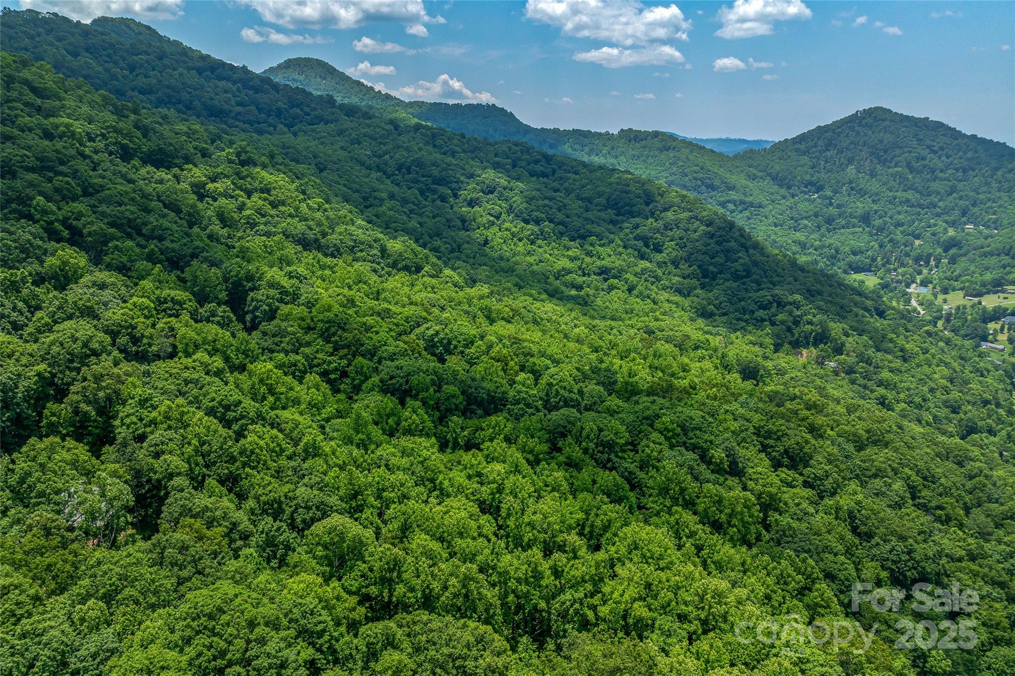 99999 Countryside Estate Property Photo 10