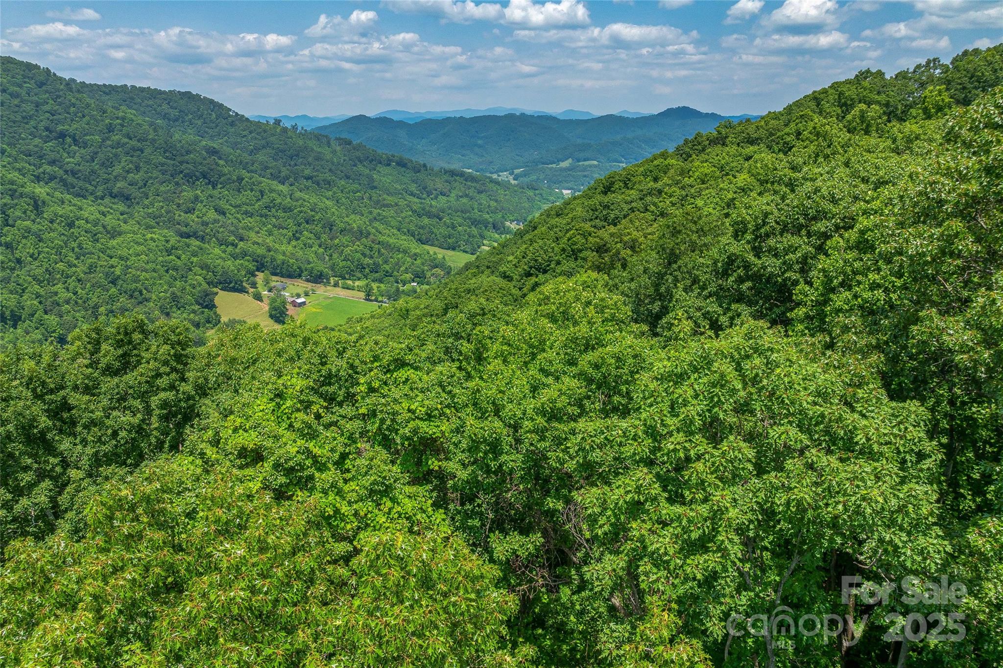 99999 Countryside Estate Property Photo 15