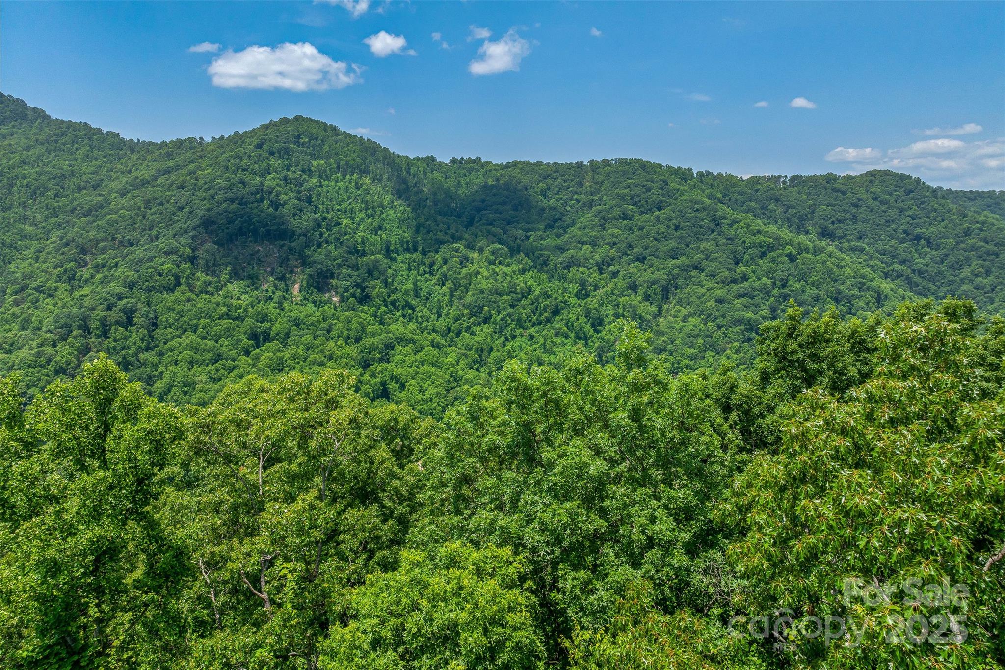 99999 Countryside Estate Property Photo 17