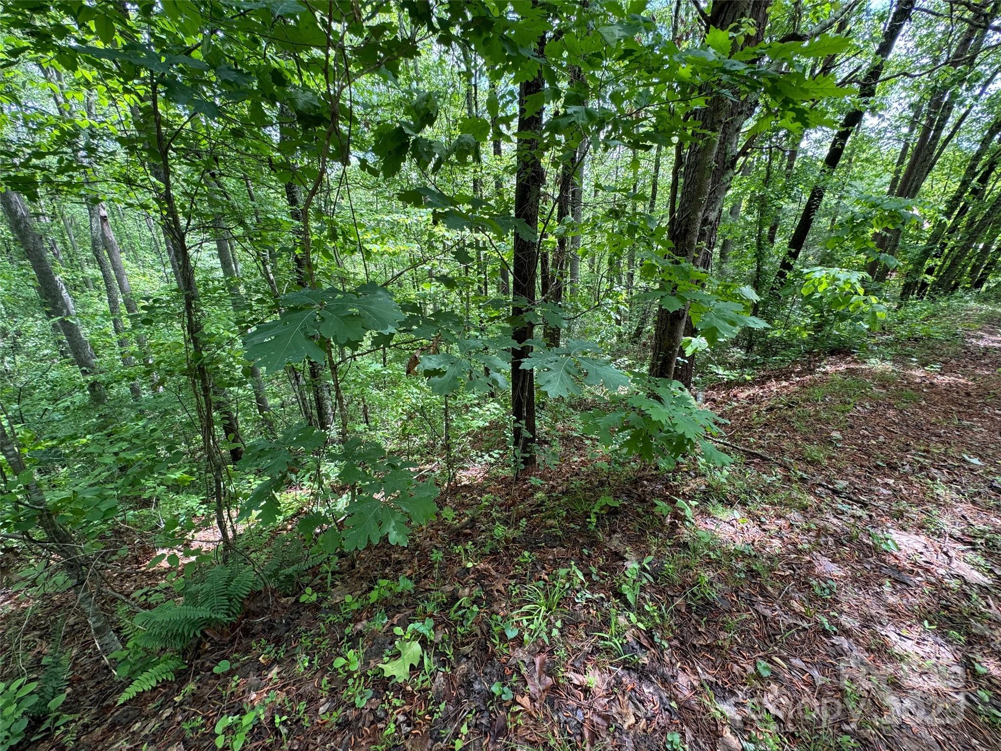 99999 Morning Star Drive Lot 13 Property Photo 6