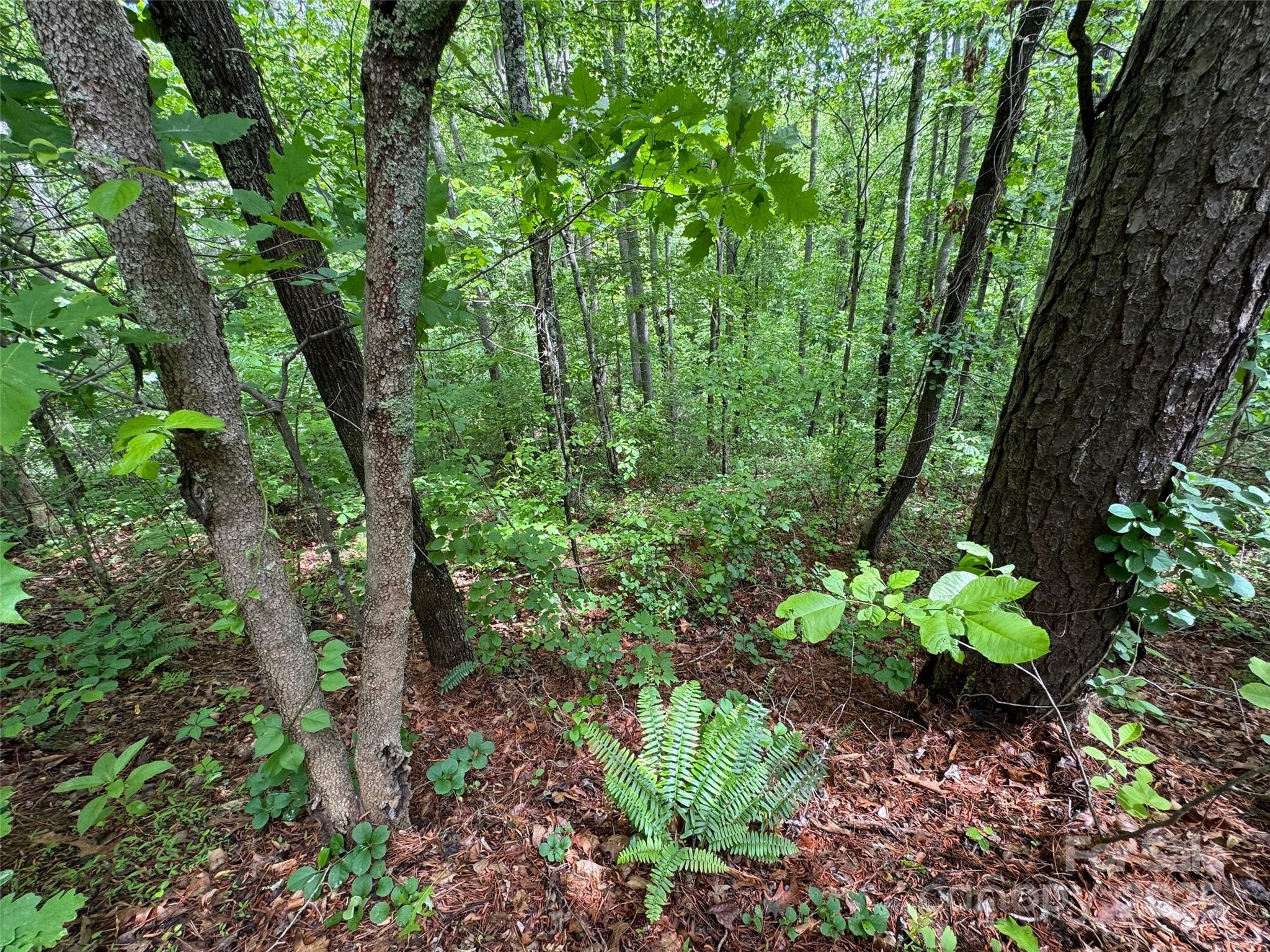 99999 Morning Star Drive Lot 13 Property Photo 7