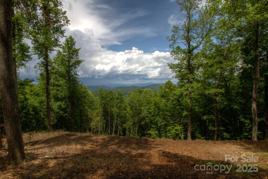 436 Bella Vista Court Property Photo 2