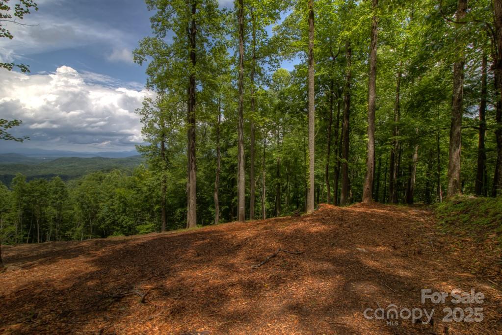 436 Bella Vista Court Property Photo 4