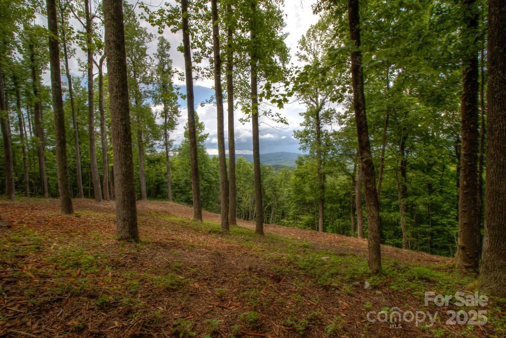 436 Bella Vista Court Property Photo 19