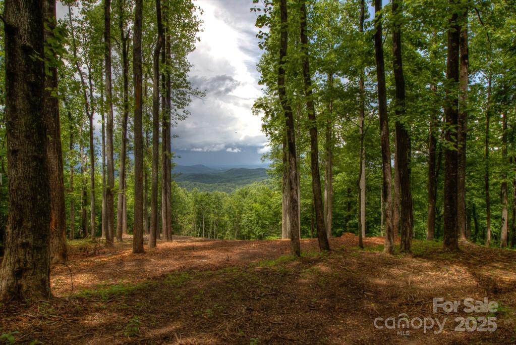 436 Bella Vista Court Property Photo 21