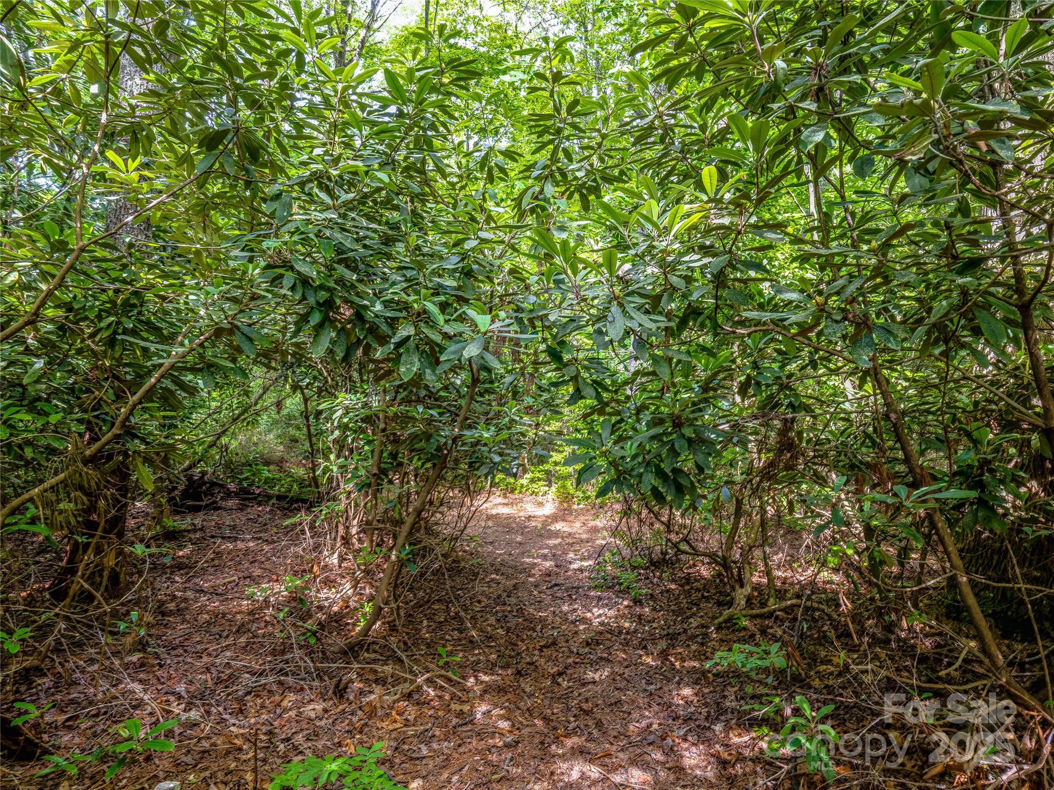 J 34 Cherokee Point 34 Property Photo 24