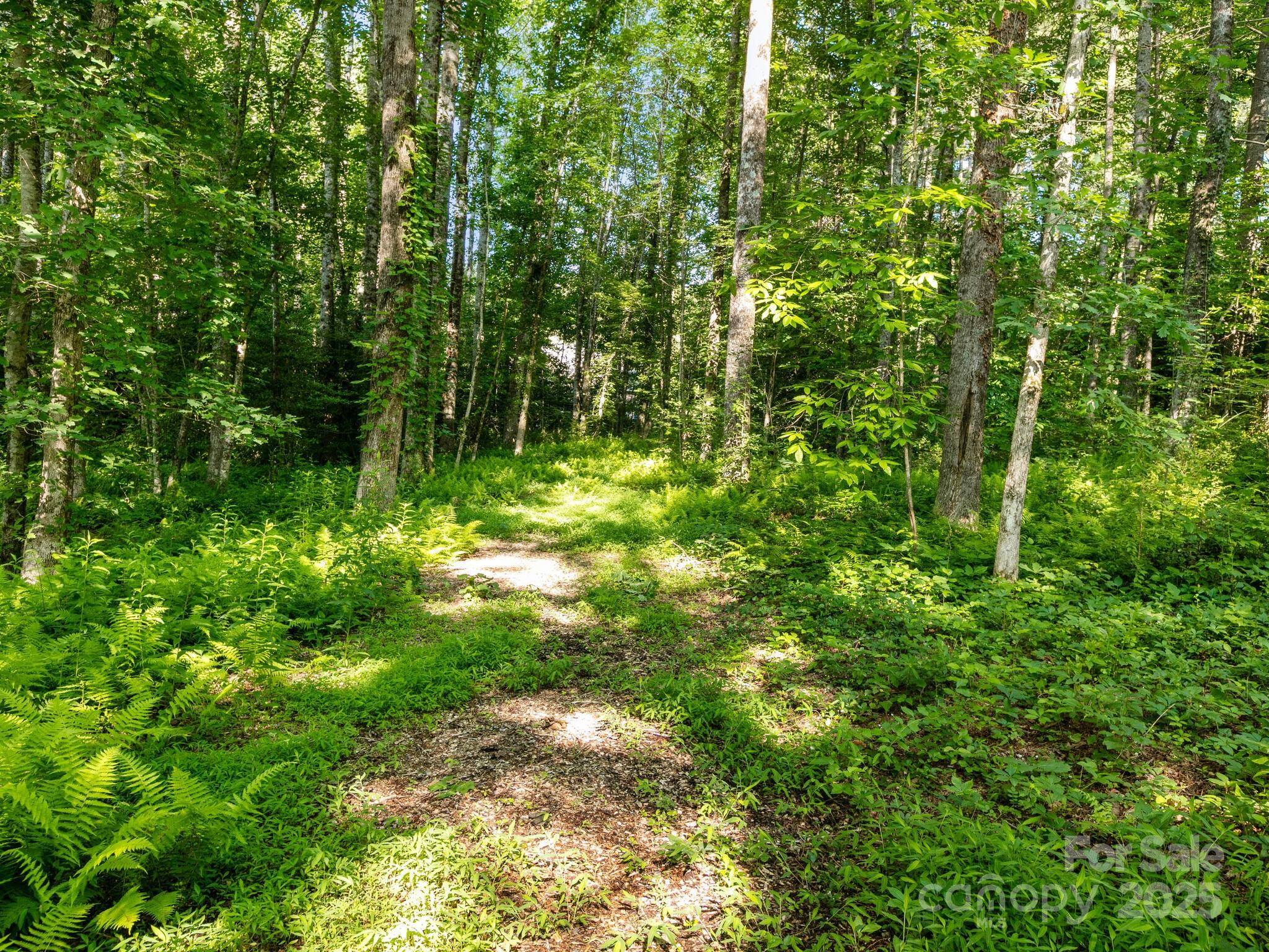 000 Old Town Way Property Photo 4