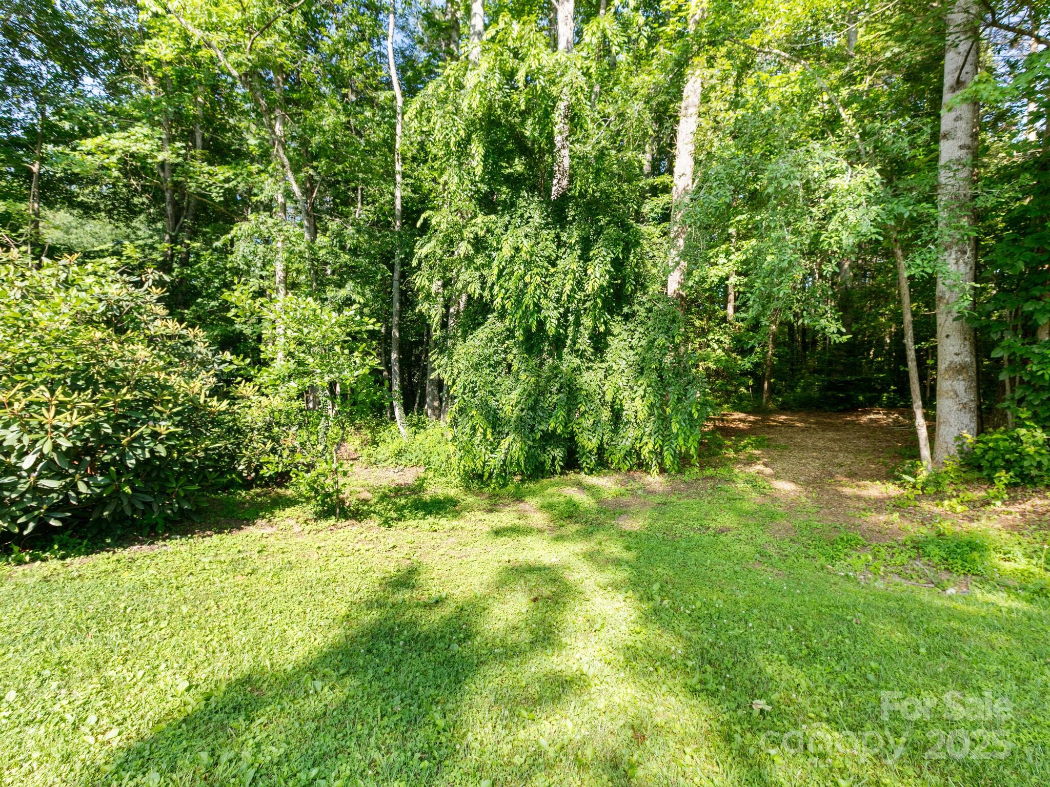 000 Old Town Way Property Photo 9
