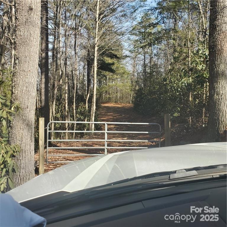 7902 Cat Trail Property Photo 1