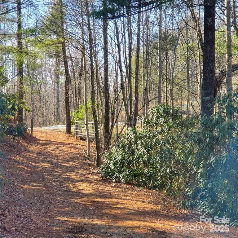 7902 Cat Trail Property Photo 2