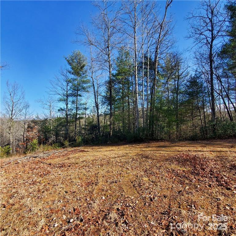 7902 Cat Trail Property Photo 3