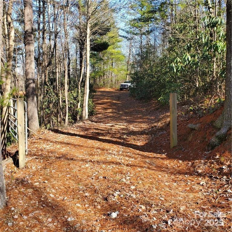 7902 Cat Trail Property Photo 4