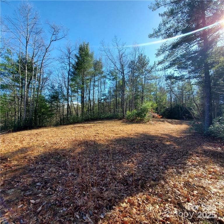 7902 Cat Trail Property Photo 5