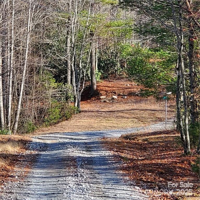 7902 Cat Trail Property Photo 7