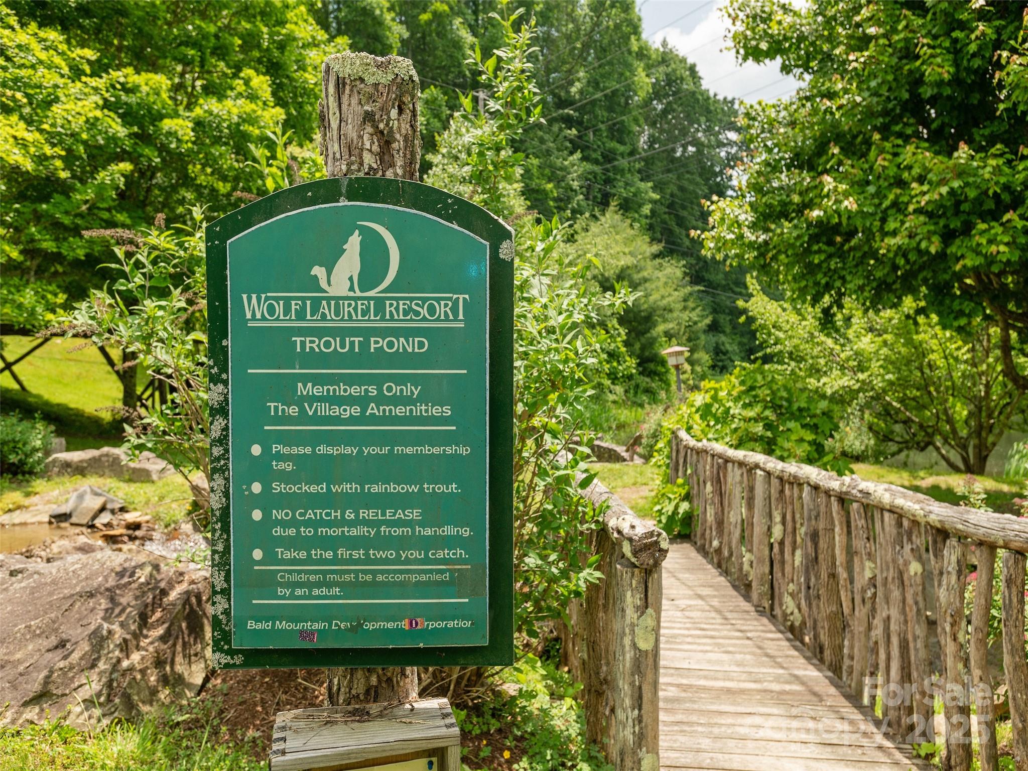 000 English Ridge Drive 34 Property Photo 22