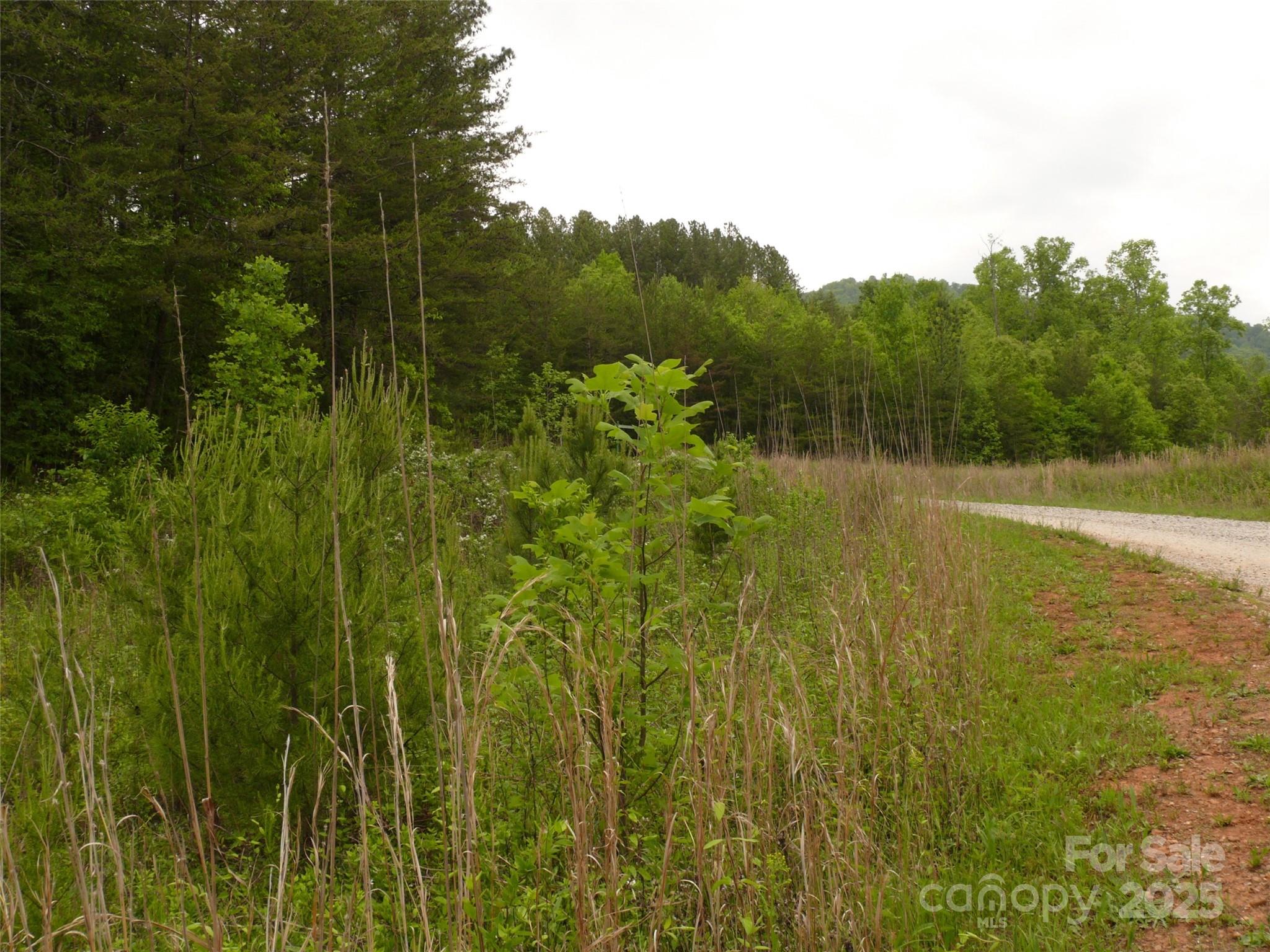 Lot 14 Vineyards Way Property Photo 2