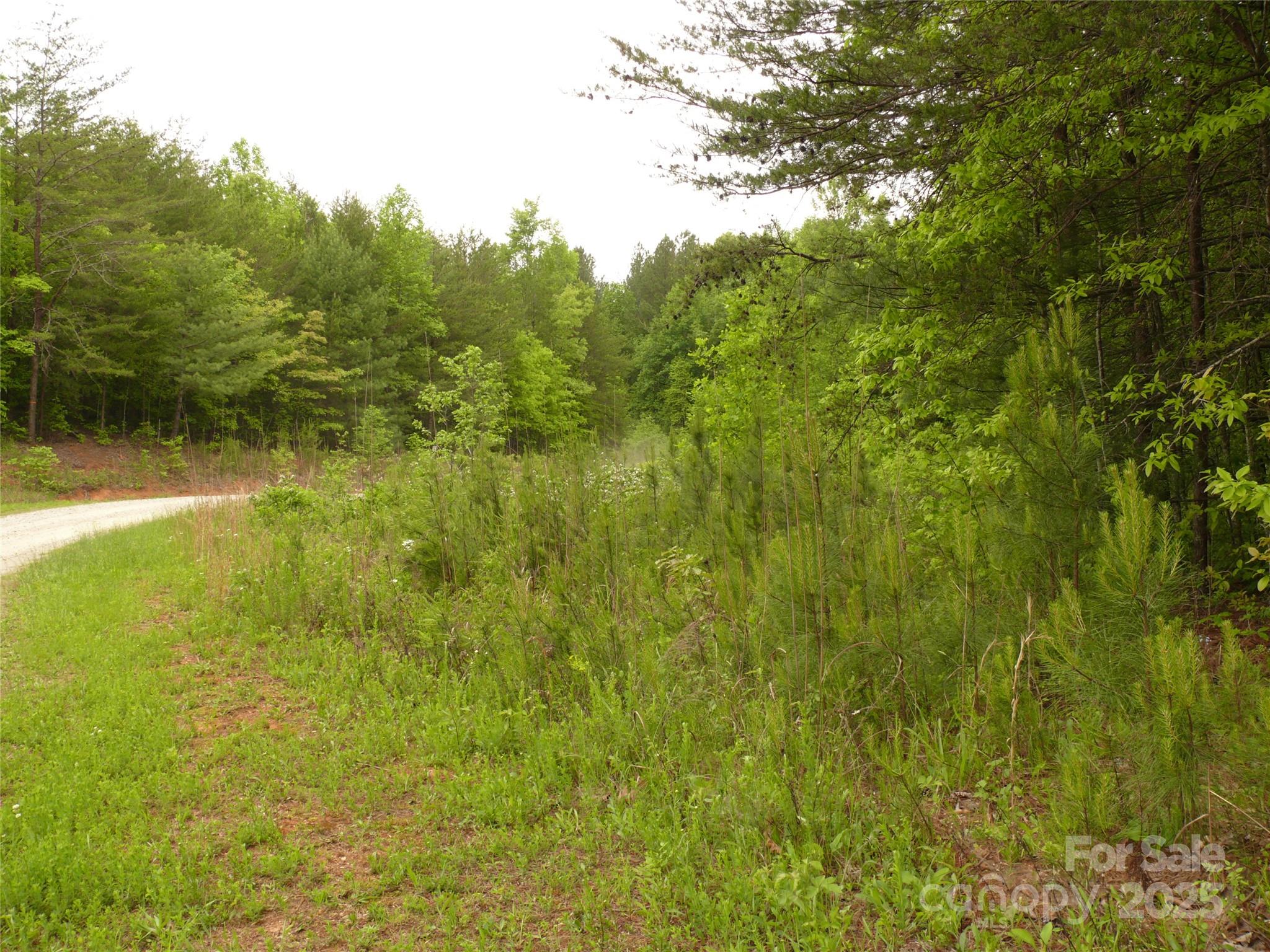 Lot 14 Vineyards Way Property Photo 3