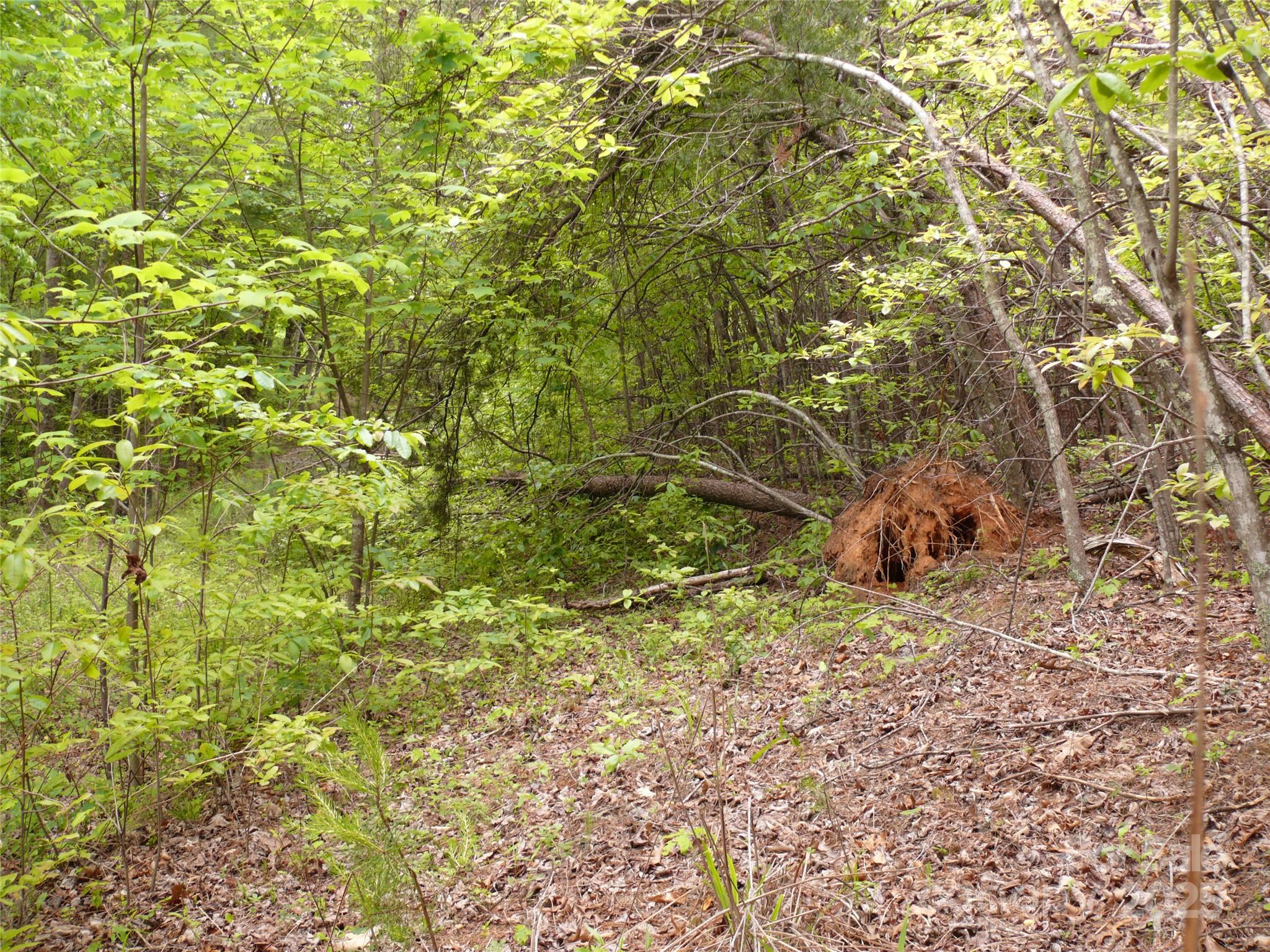 Lot 14 Vineyards Way Property Photo 5
