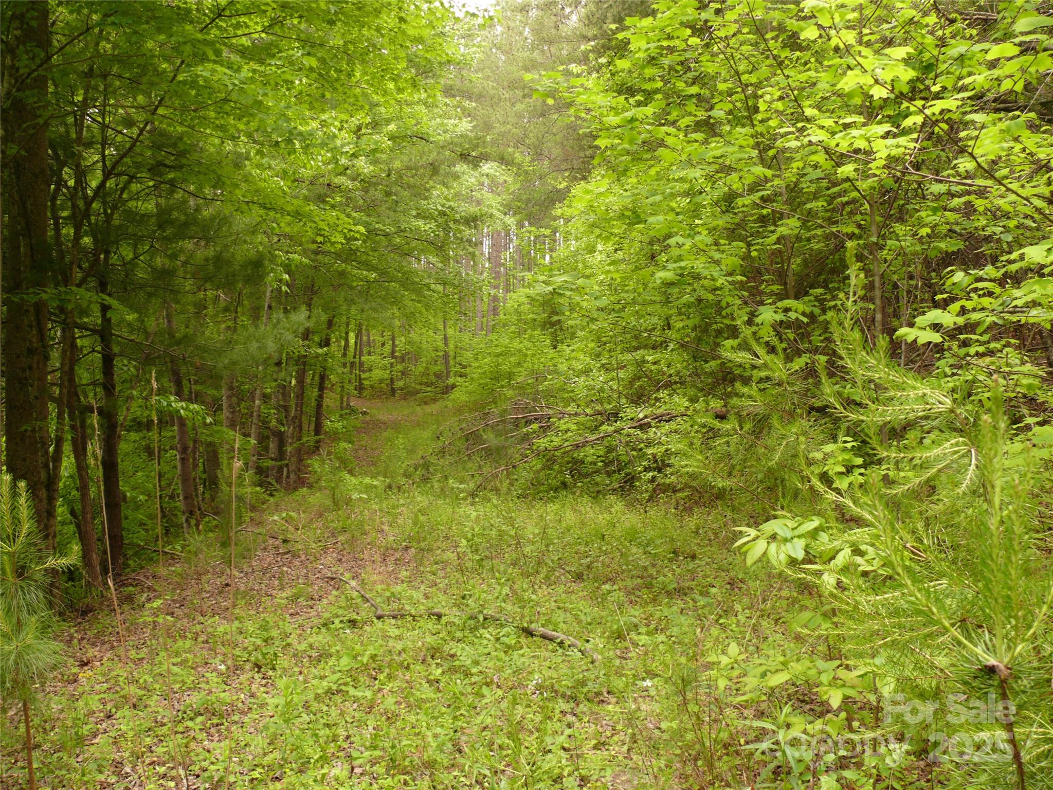 Lot 14 Vineyards Way Property Photo 6