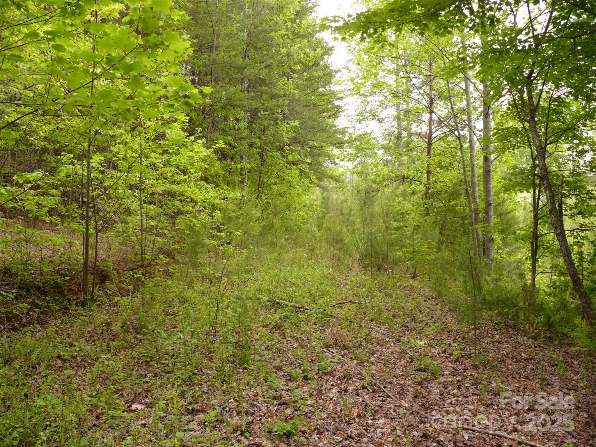 Lot 14 Vineyards Way Property Photo 7