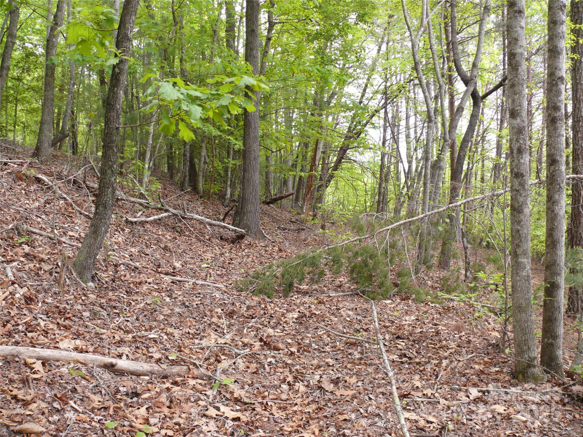 Lot 14 Vineyards Way Property Photo 8