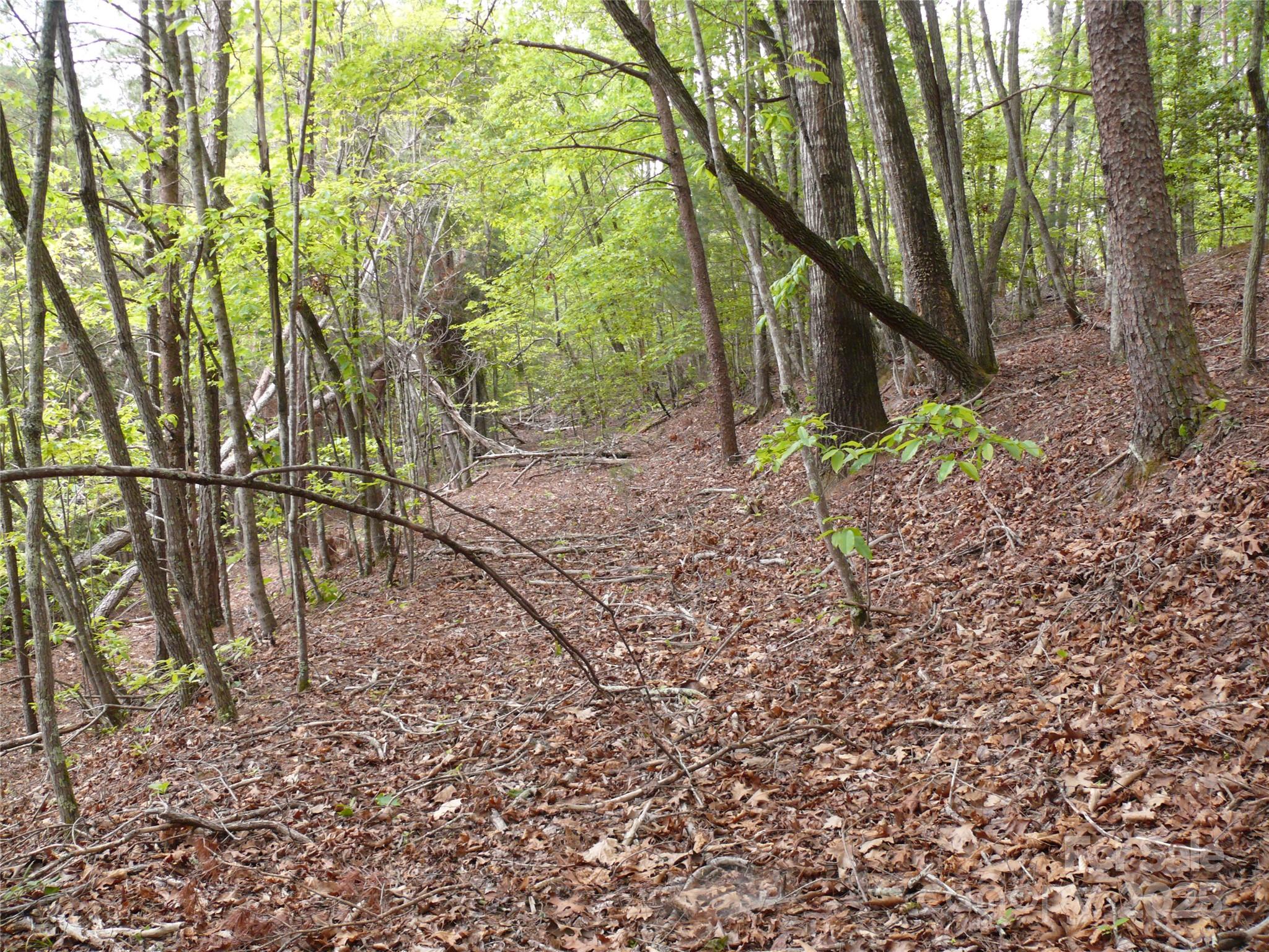 Lot 14 Vineyards Way Property Photo 9