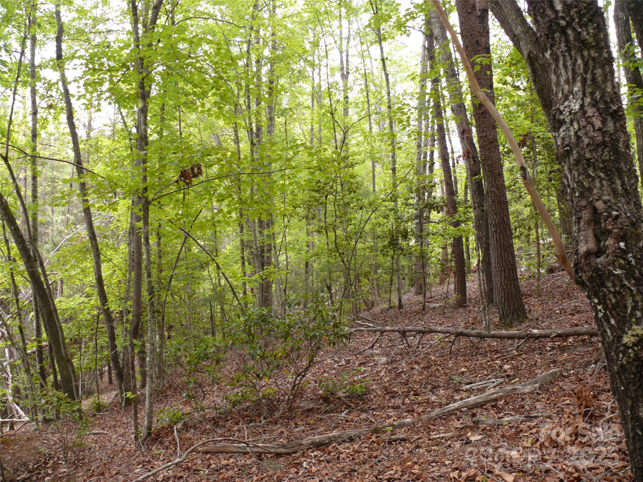 Lot 14 Vineyards Way Property Photo 10