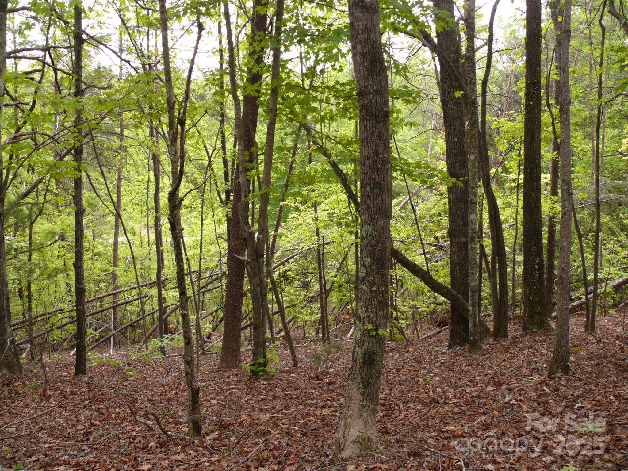 Lot 14 Vineyards Way Property Photo 11