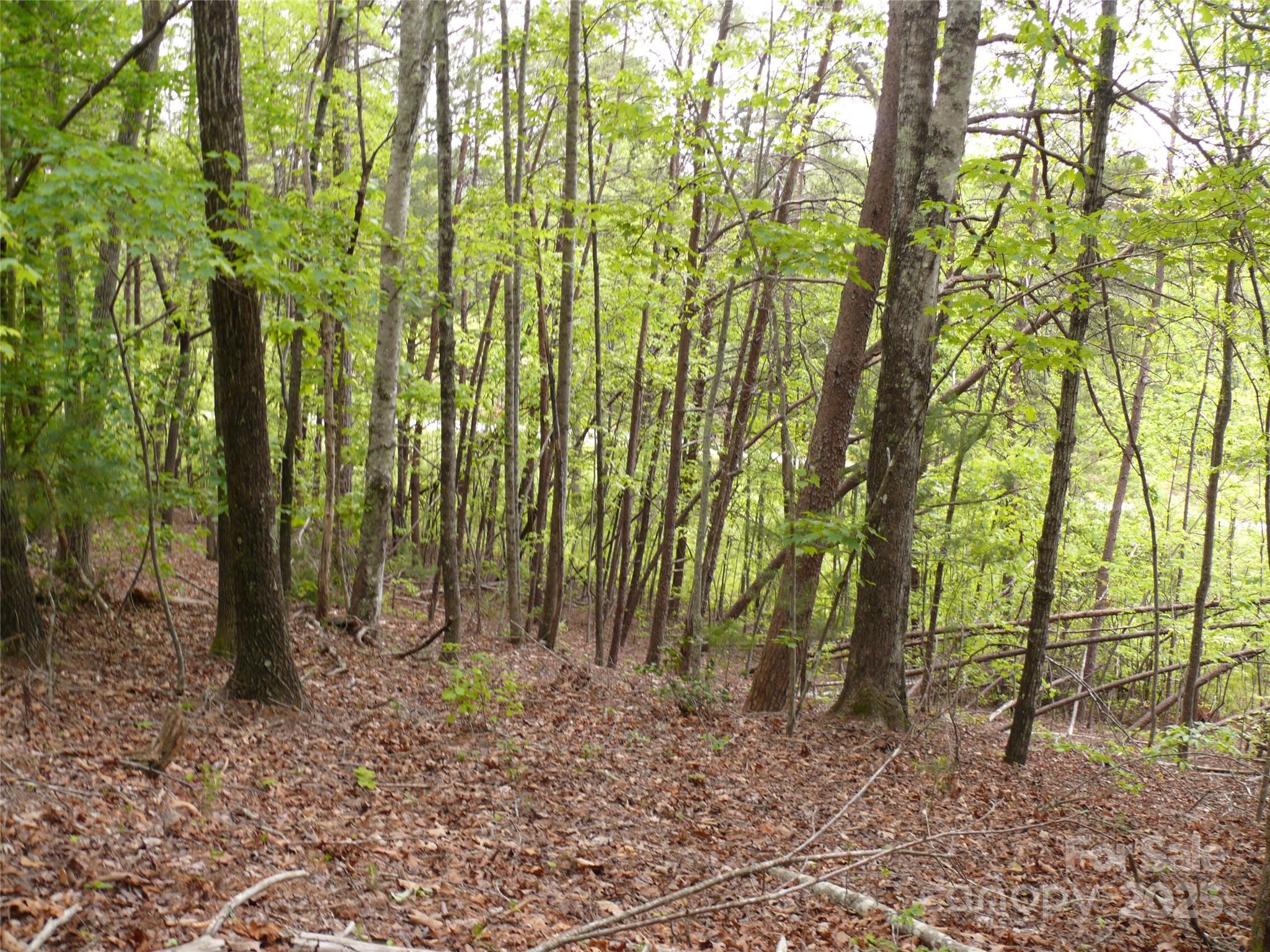 Lot 14 Vineyards Way Property Photo 12