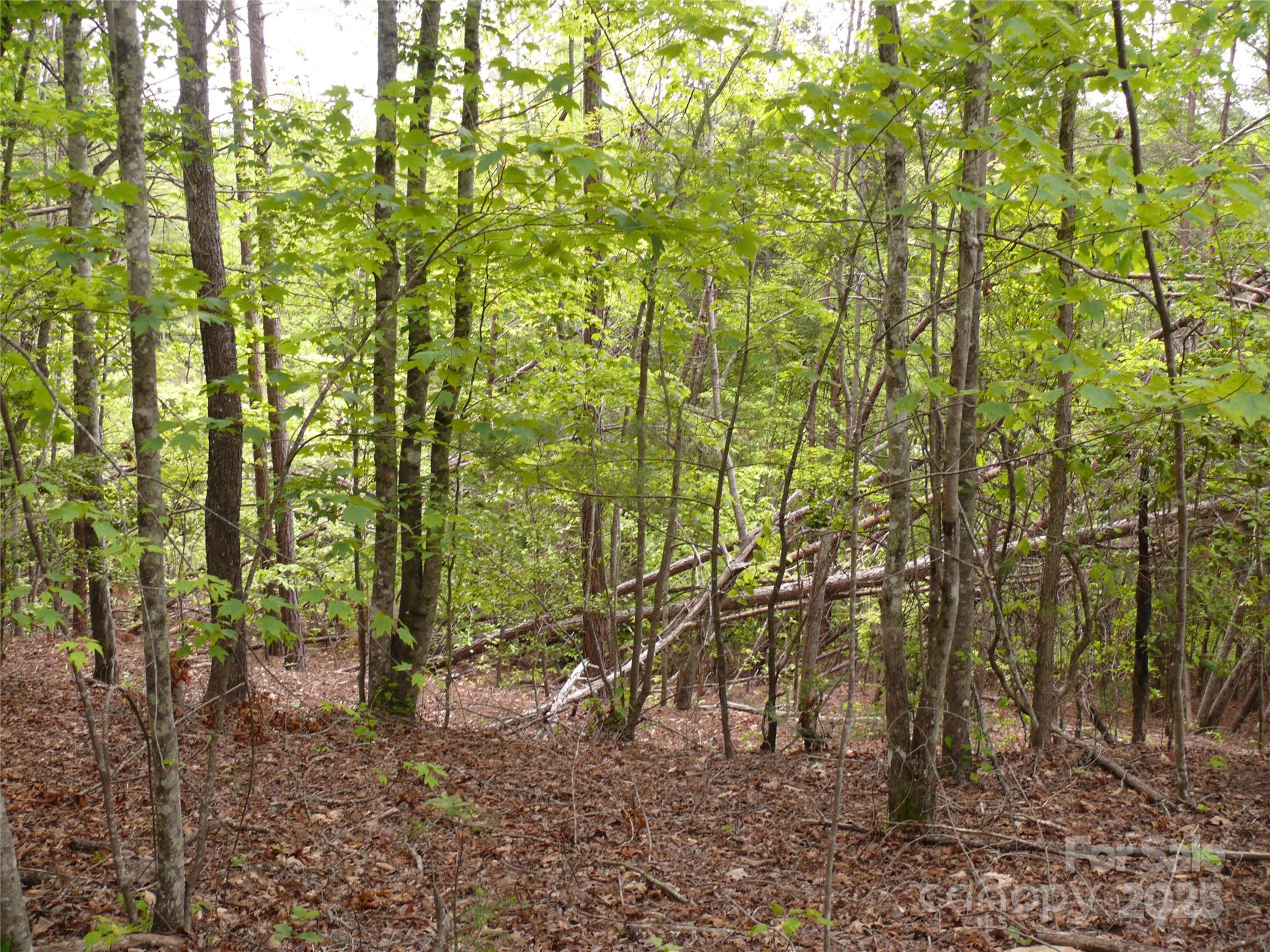 Lot 14 Vineyards Way Property Photo 13