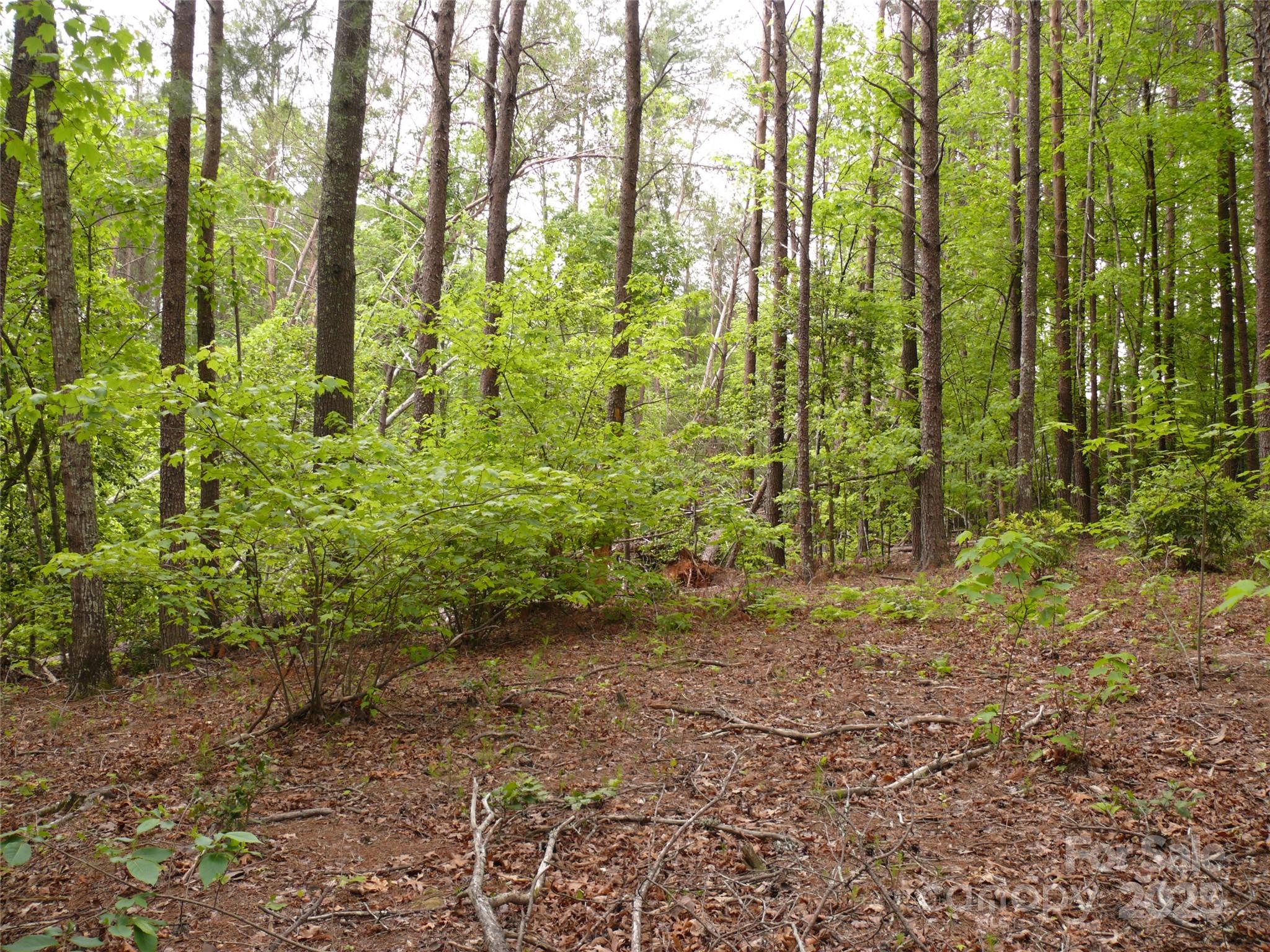 Lot 14 Vineyards Way Property Photo 14