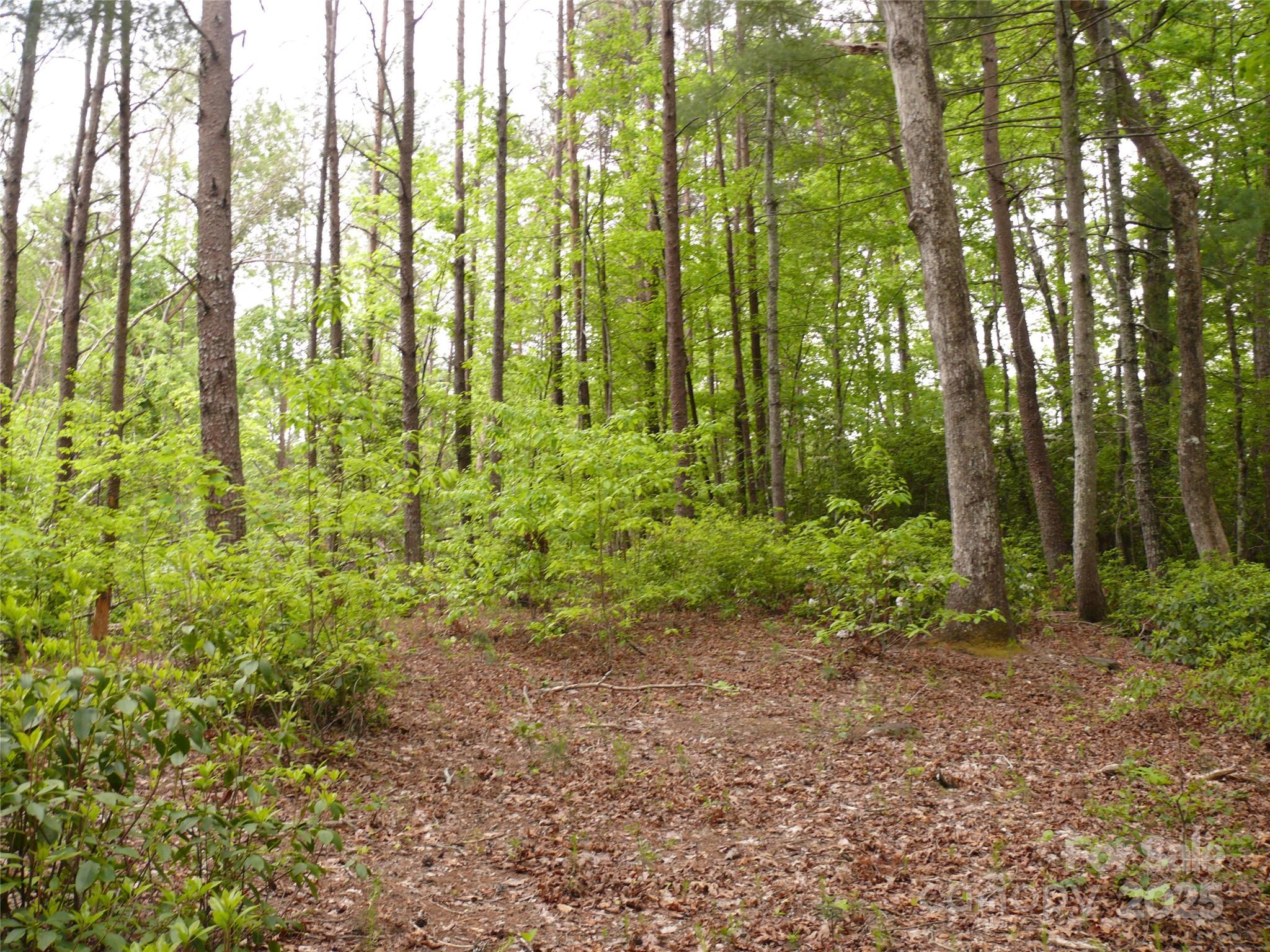 Lot 14 Vineyards Way Property Photo 15