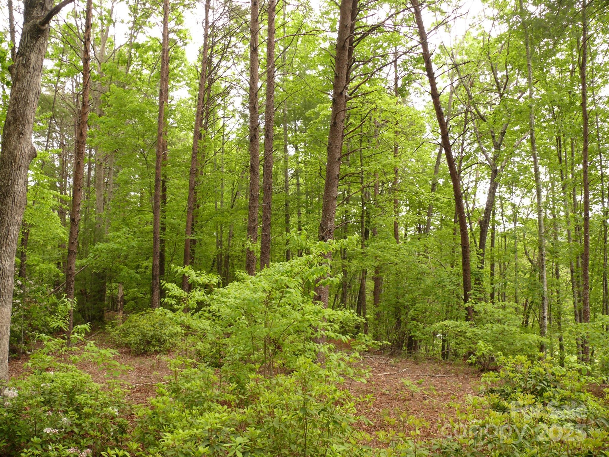 Lot 14 Vineyards Way Property Photo 16