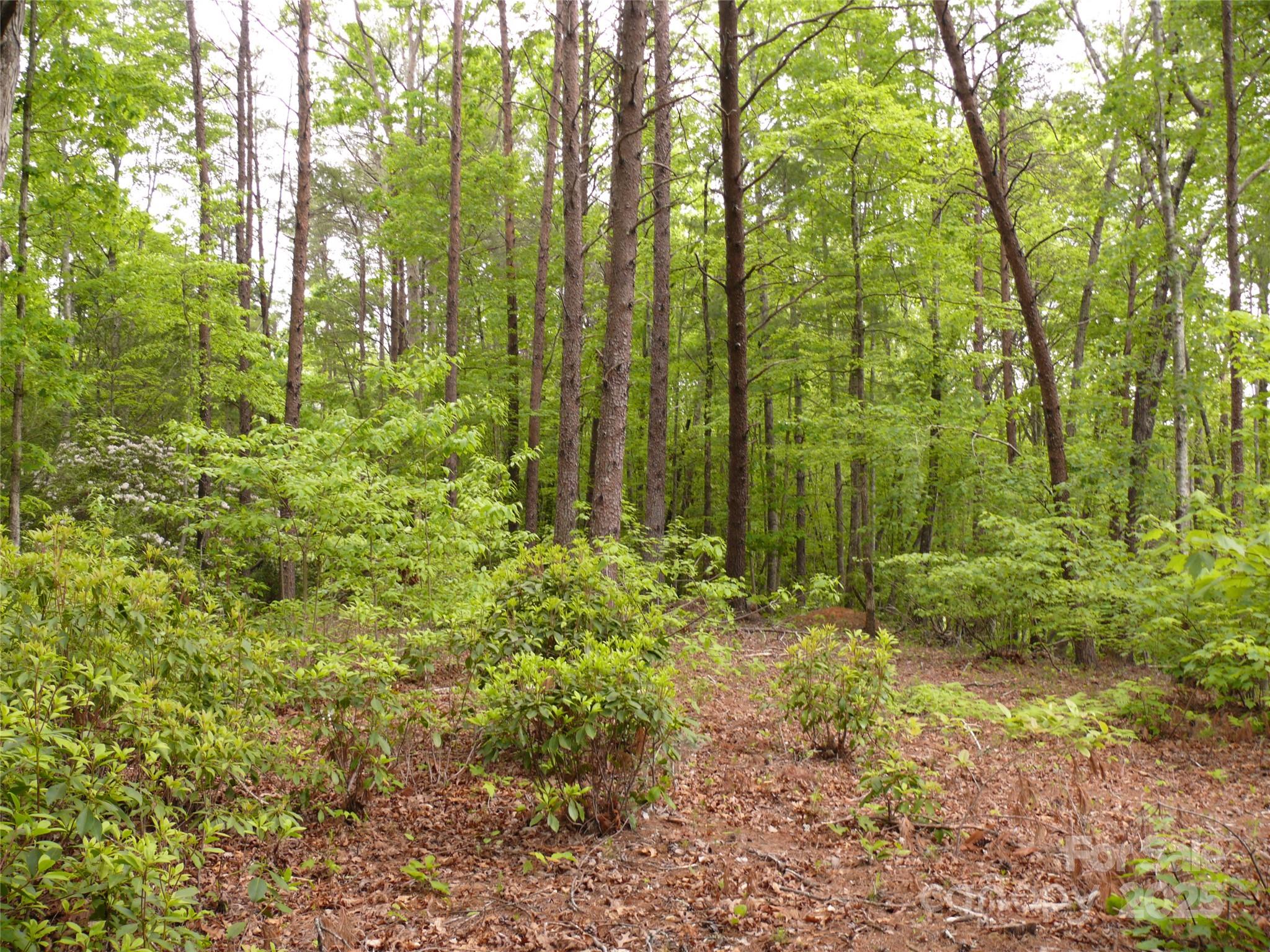 Lot 14 Vineyards Way Property Photo 17