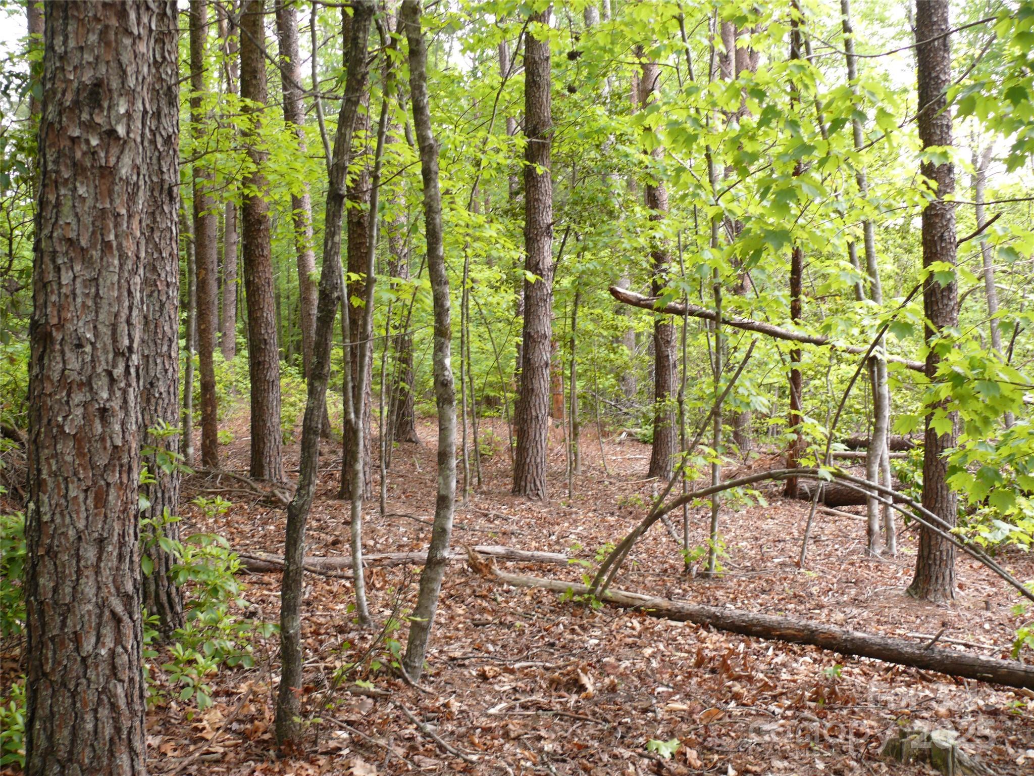 Lot 14 Vineyards Way Property Photo 18