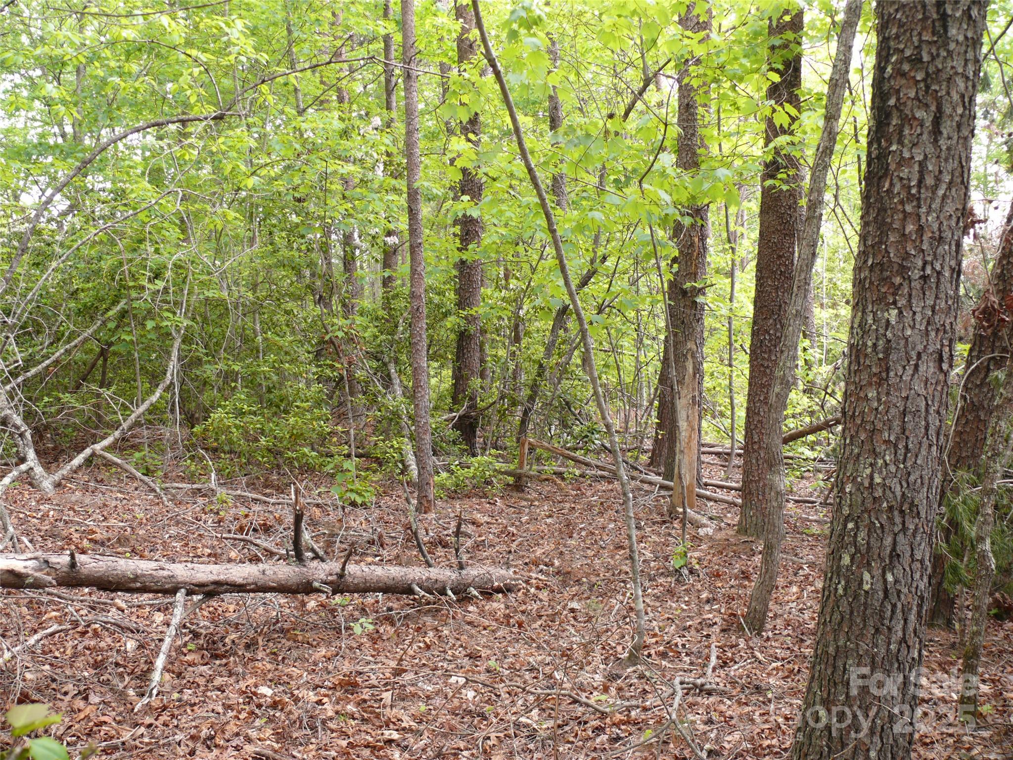 Lot 14 Vineyards Way Property Photo 19