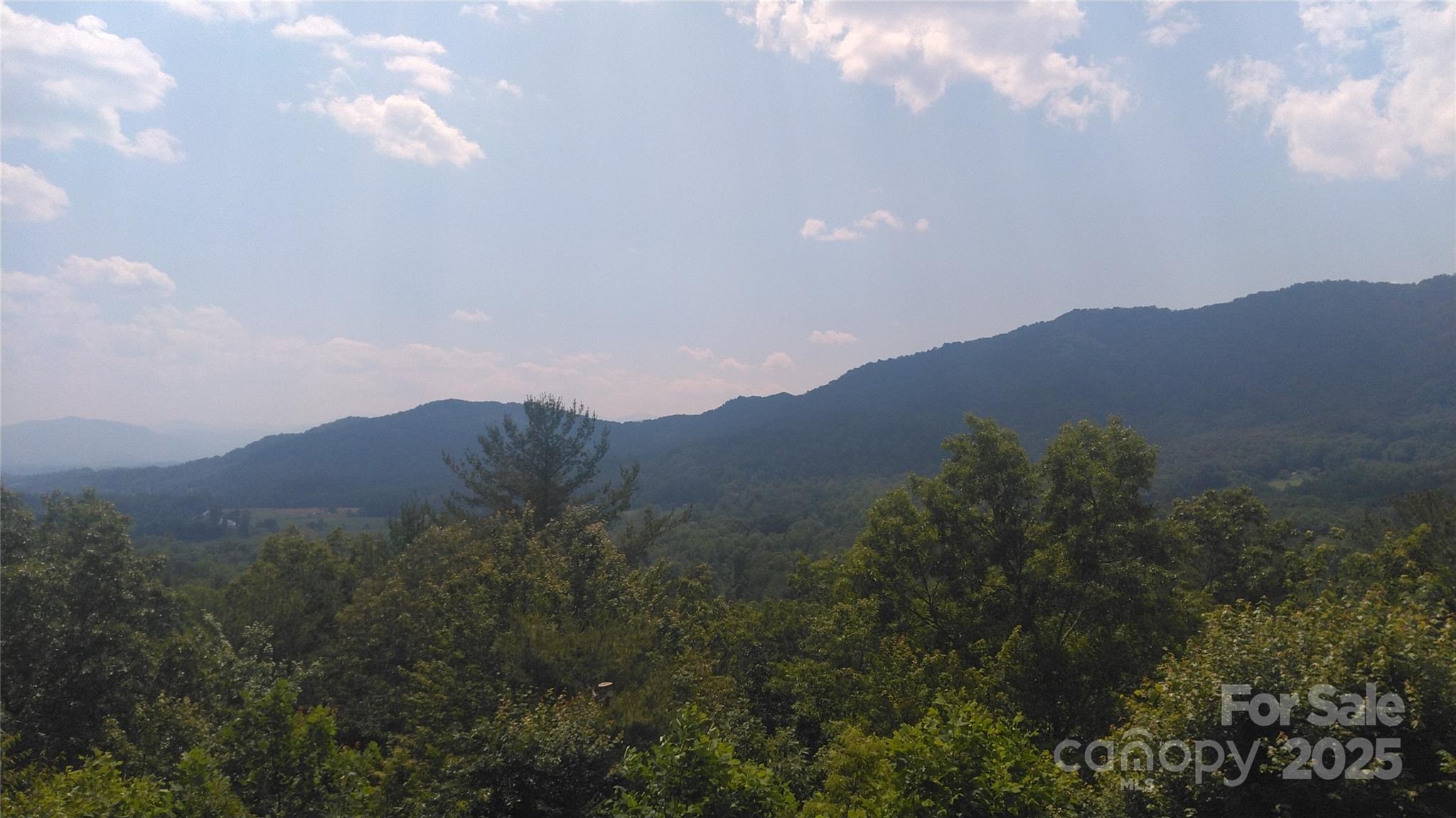 Lot 17 Deer Ridge Trail Property Photo 2
