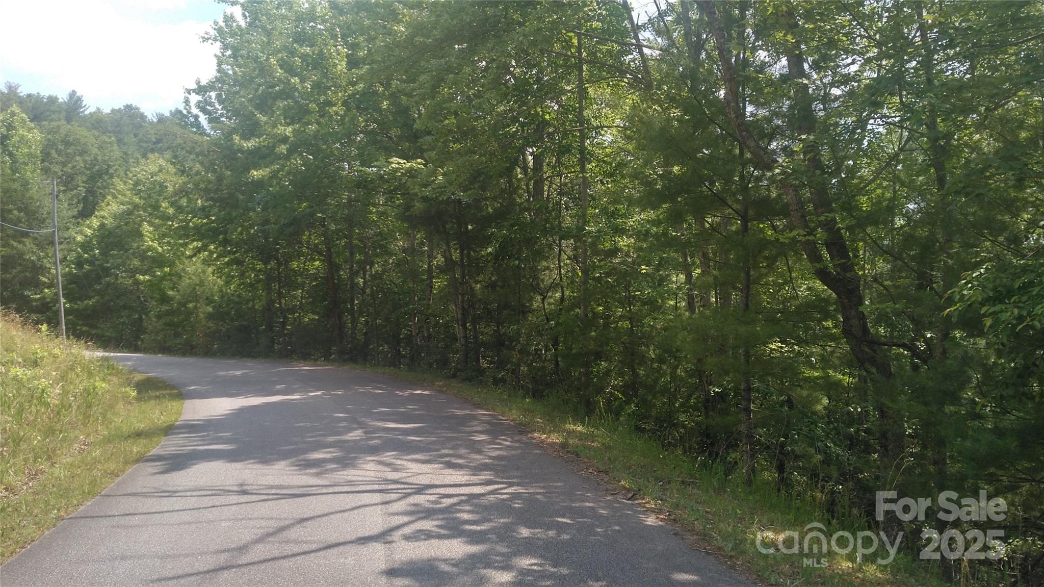 Lot 17 Deer Ridge Trail Property Photo 3