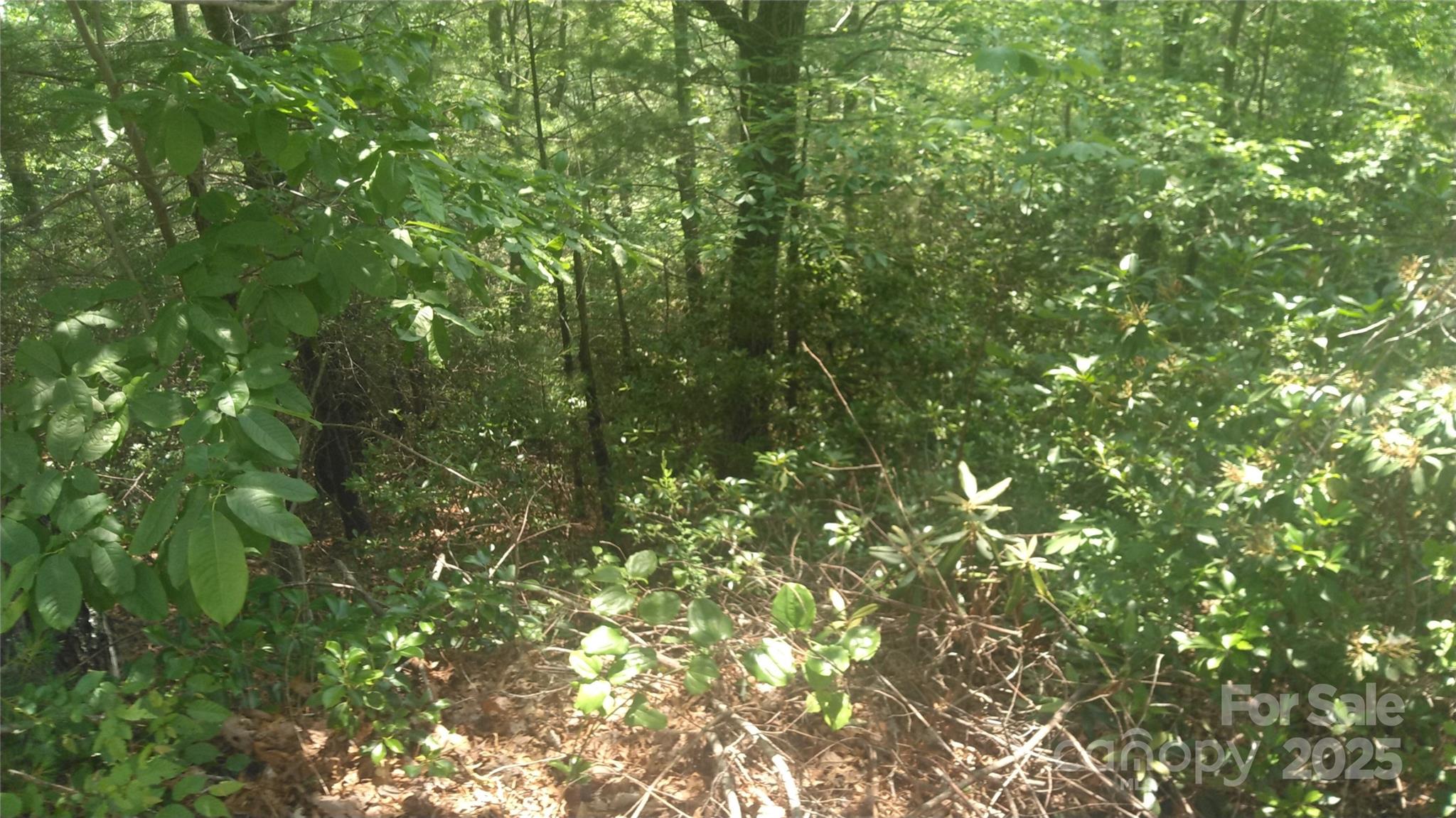 Lot 17 Deer Ridge Trail Property Photo 4