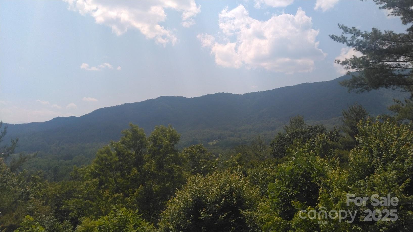 Lot 17 Deer Ridge Trail Property Photo 5
