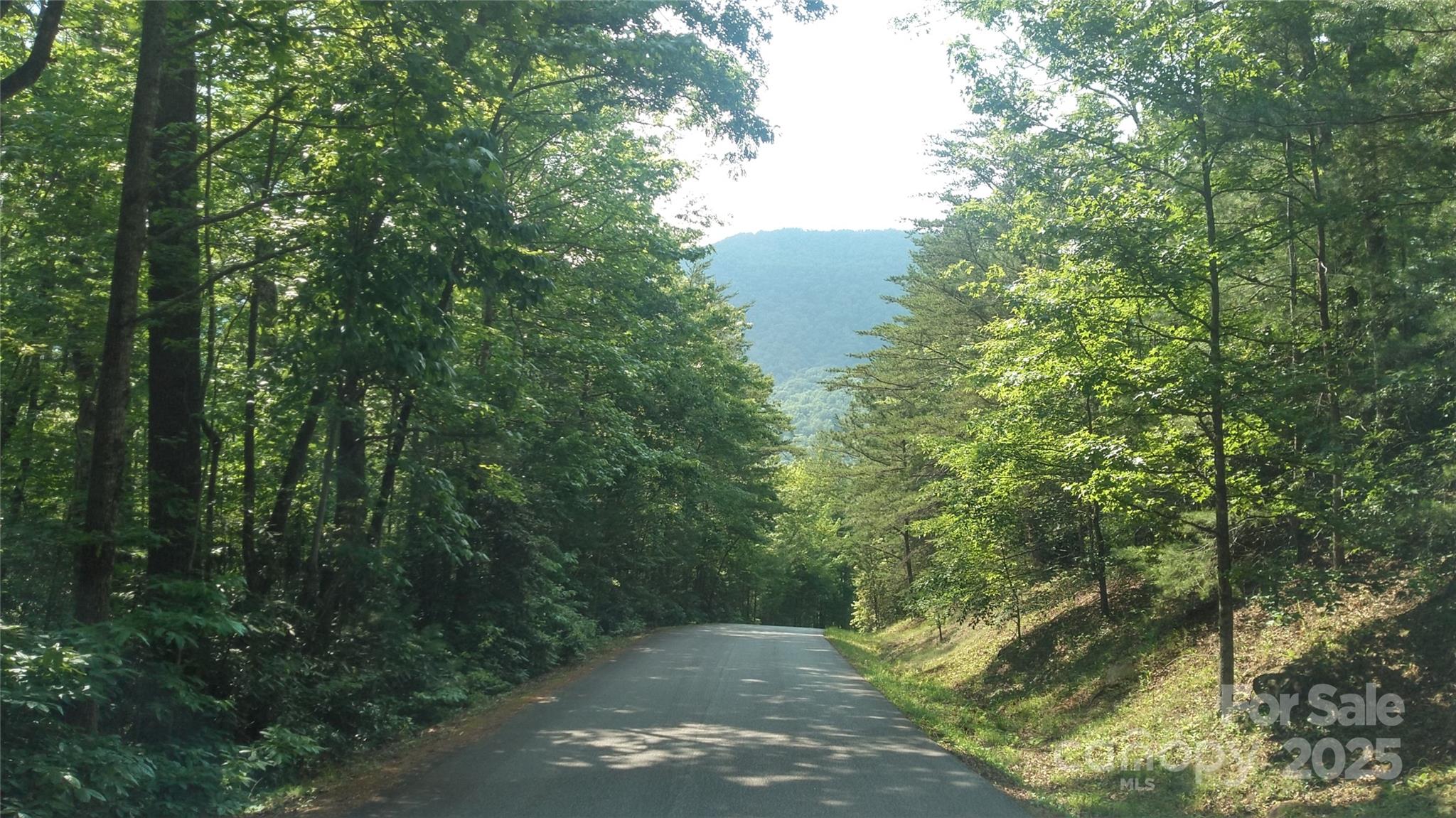 Lot 17 Deer Ridge Trail Property Photo 6