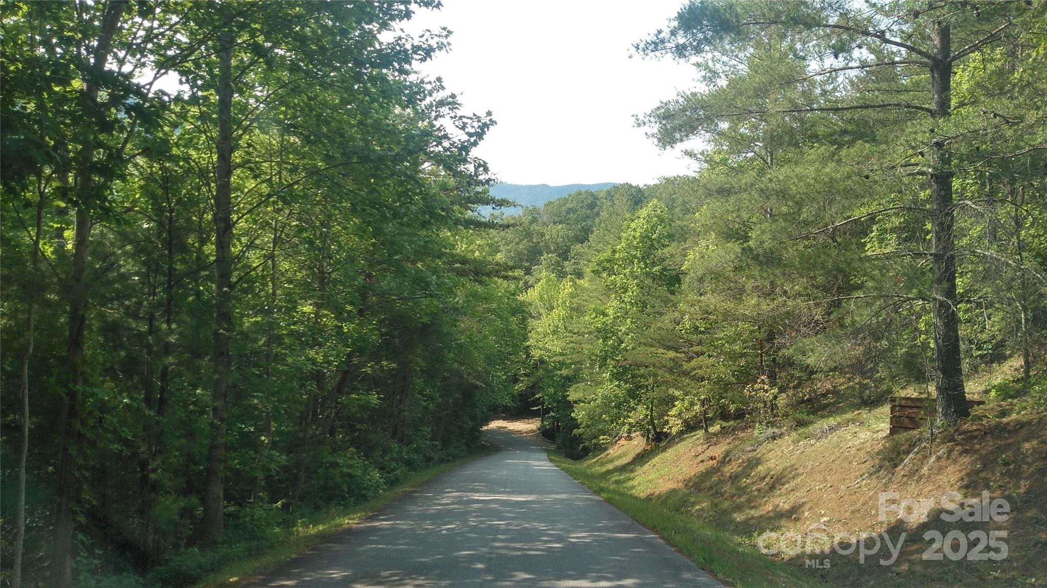 Lot 17 Deer Ridge Trail Property Photo 7